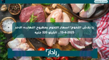 يا بلاش اللحوم! أسعار اللحوم بمطروح النهارده الأحد 13-4-2025.. الكيلو 320 جنيه